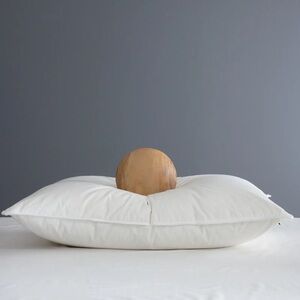 NWOT QUINCE Pillow Standard 9068